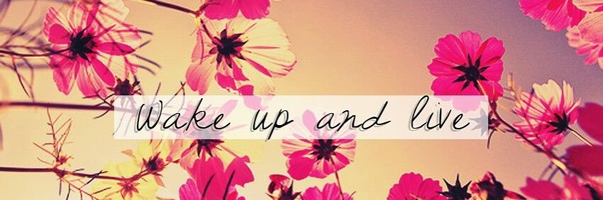 Nicole_FMP's profile banner image