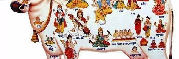 SANJEEVHANS's profile banner image