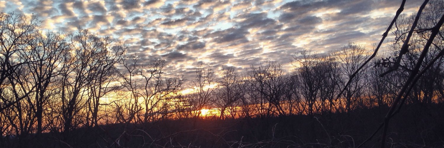 taylorlynney's profile banner image