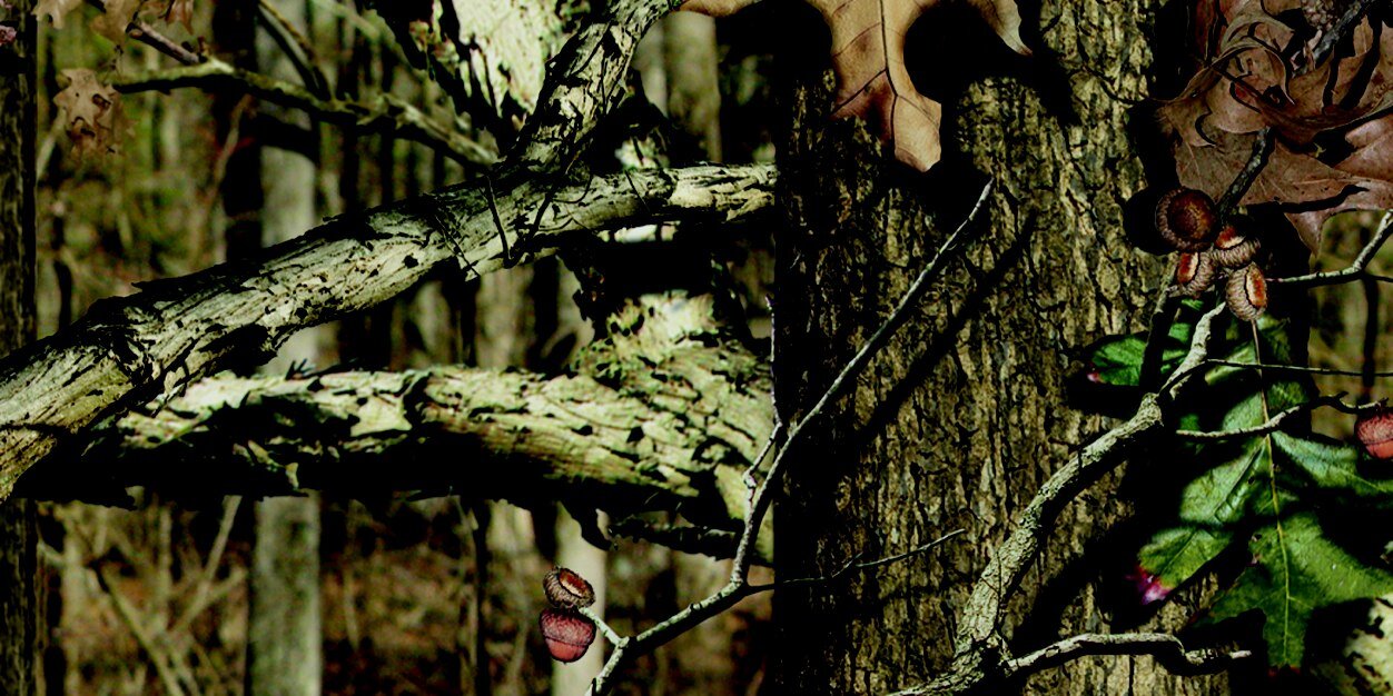 Joe_4_Sho's profile banner image