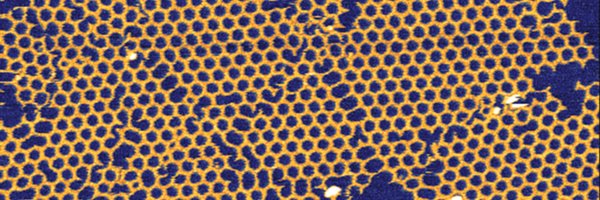 esandersen Profile Banner