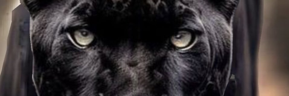 Dot Com banner