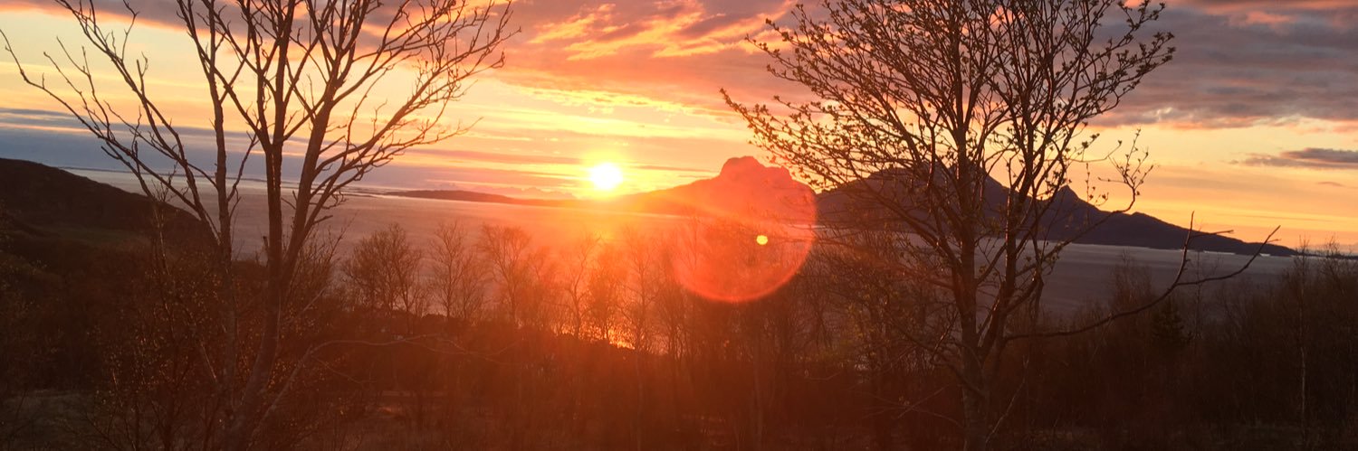 Kalle Borkamo banner