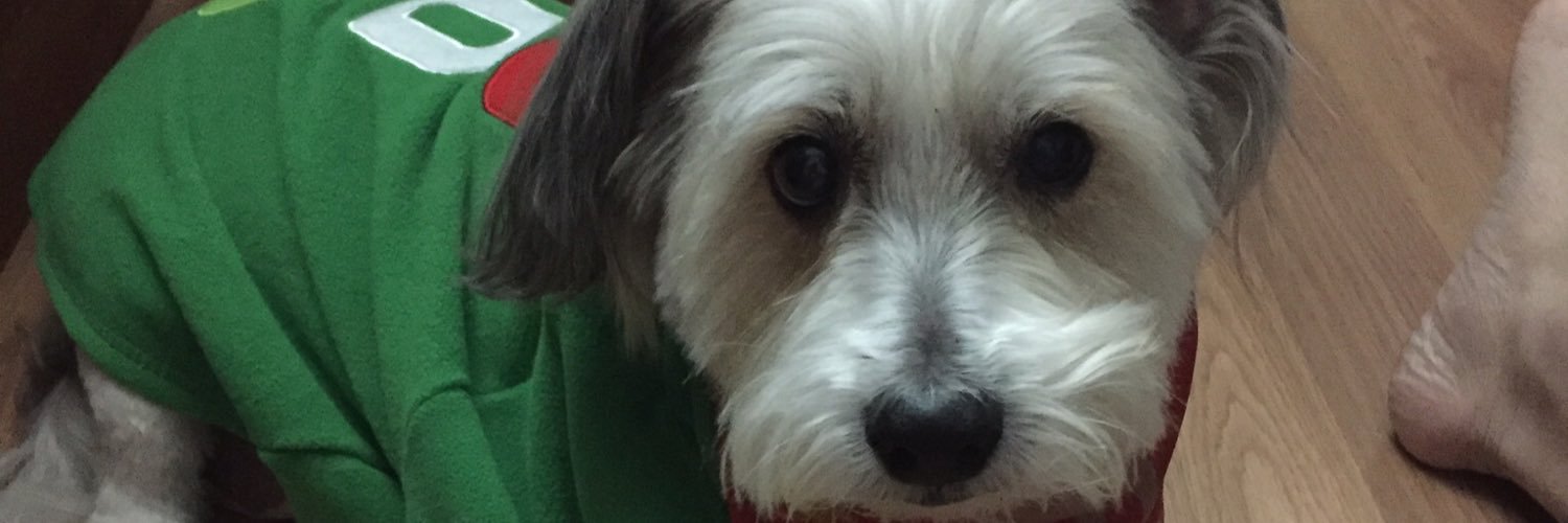 ajsleeper's profile banner image