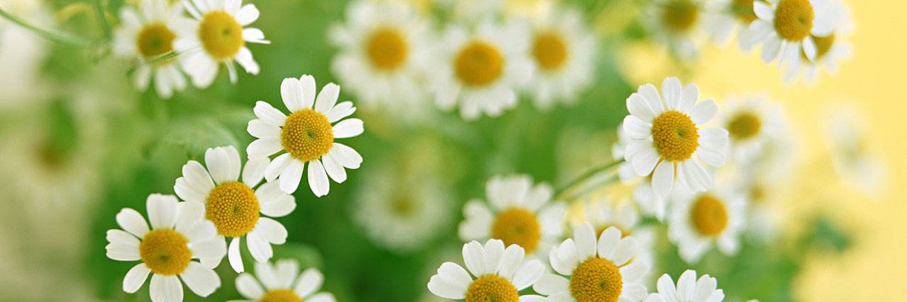 aldilaa_s's profile banner image