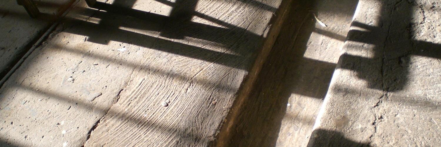 nicoletta cardano banner