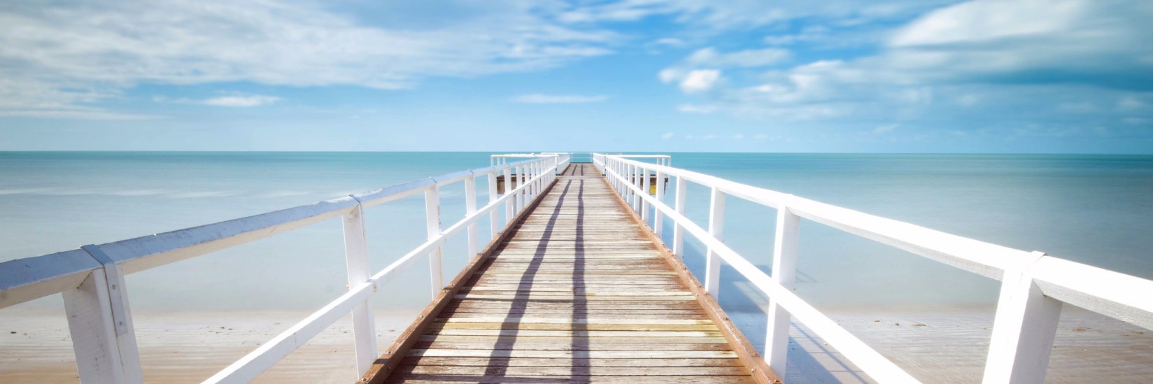 disabledsenior's profile banner image