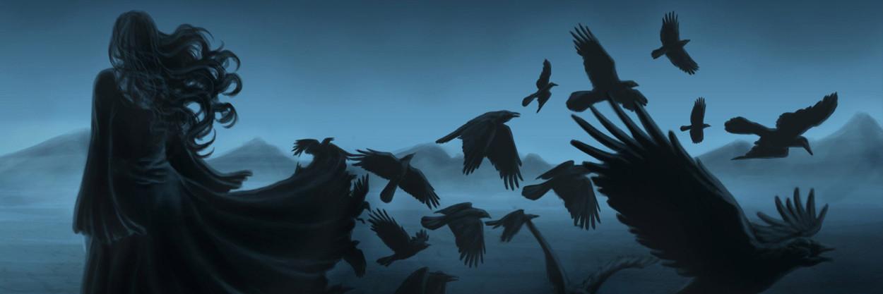 Evitcani's profile banner image