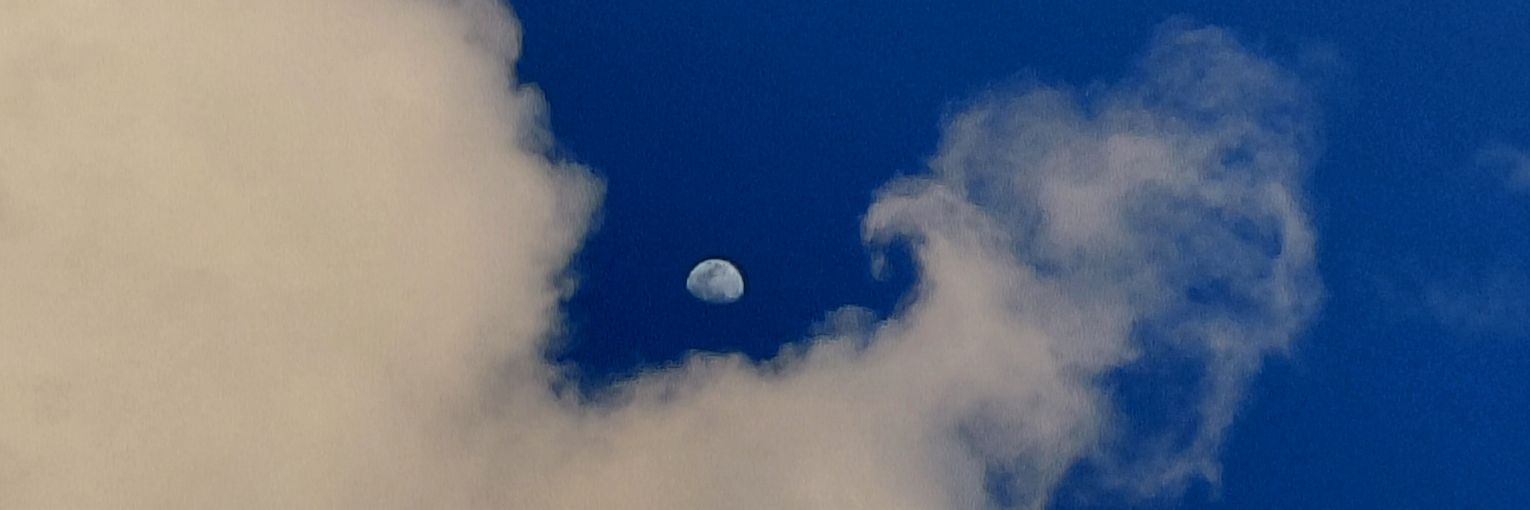 Flor M. Briceño-Vargas banner