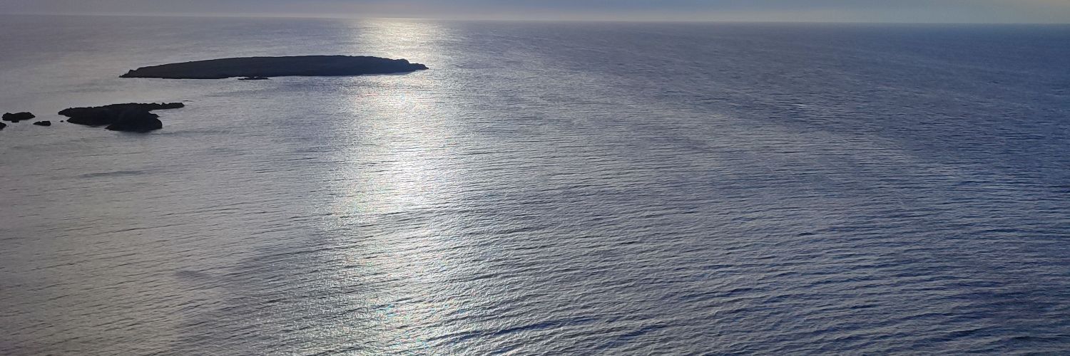 darocalabria's profile banner image