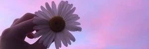 pannnyy's profile banner image