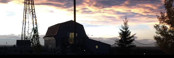 TaffWelshBoyo Profile Banner