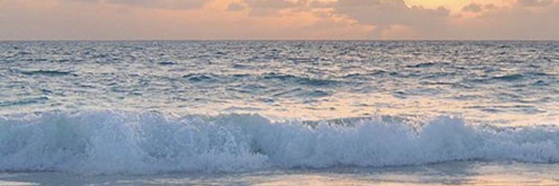 NjoodAl5aldi's profile banner image