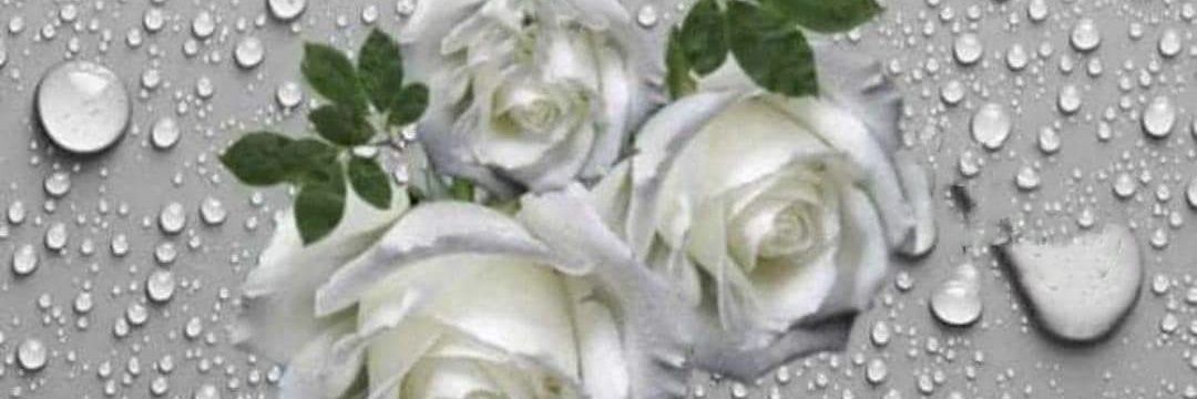 MoonFlower2211's profile banner image