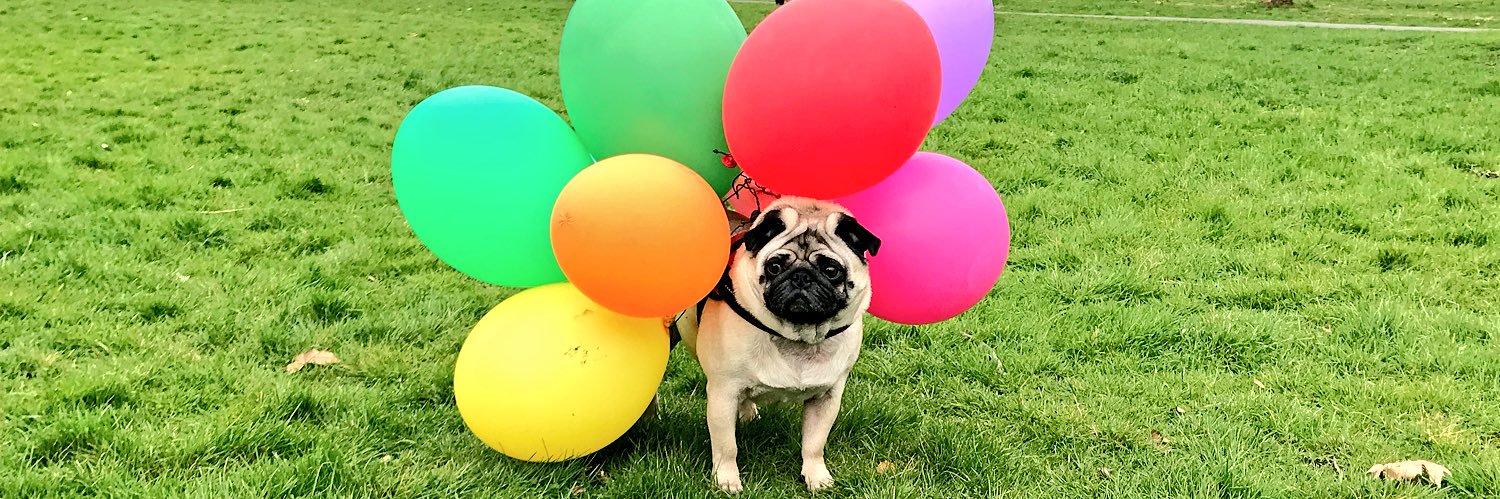 kleebelle's profile banner image