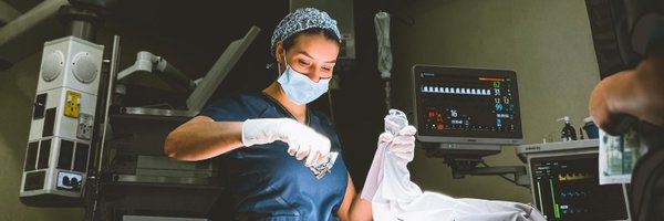 jessmg Profile Banner
