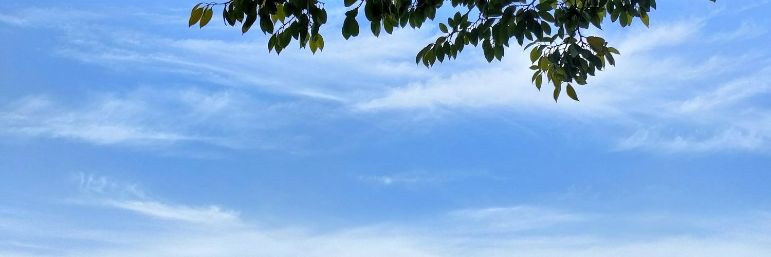 デミ banner