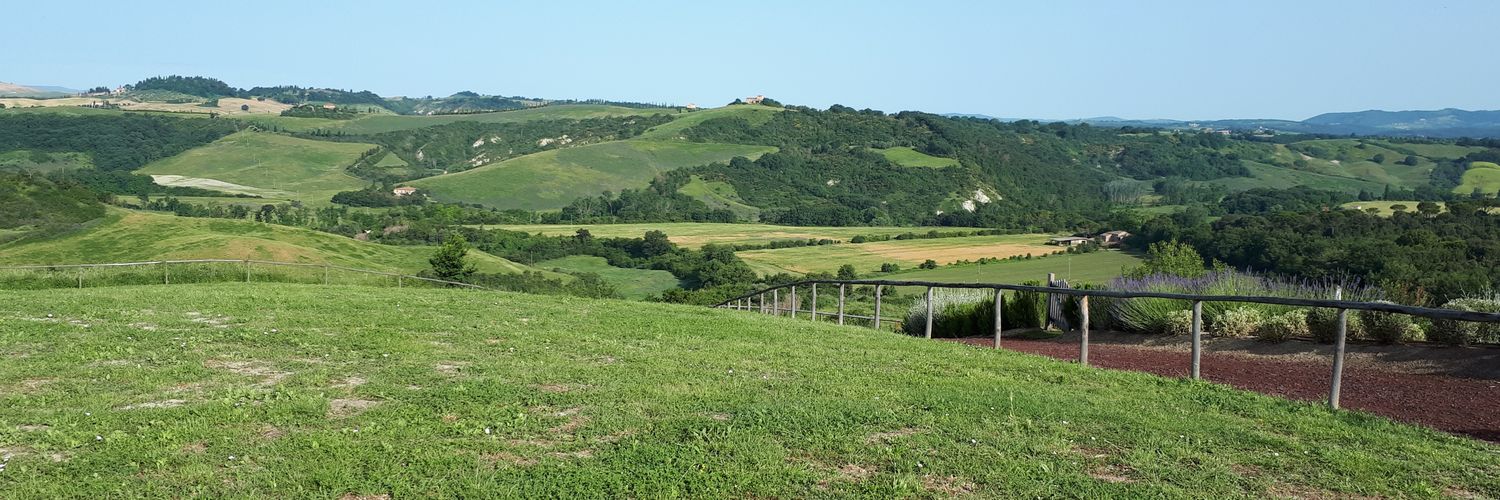 Sabrina Busellato banner