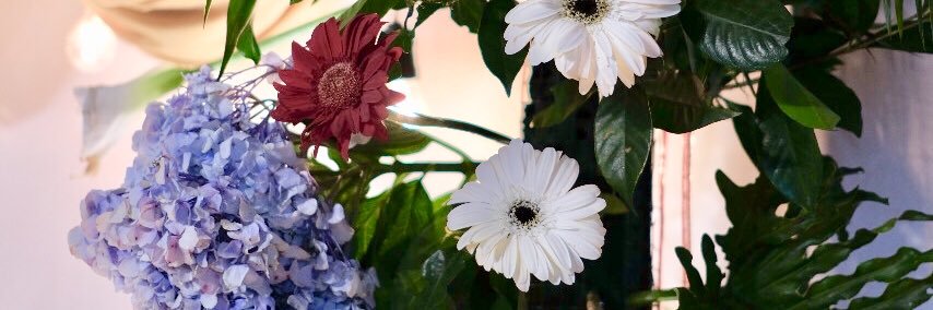 moymun__'s profile banner image
