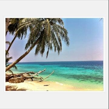 utari widowati banner