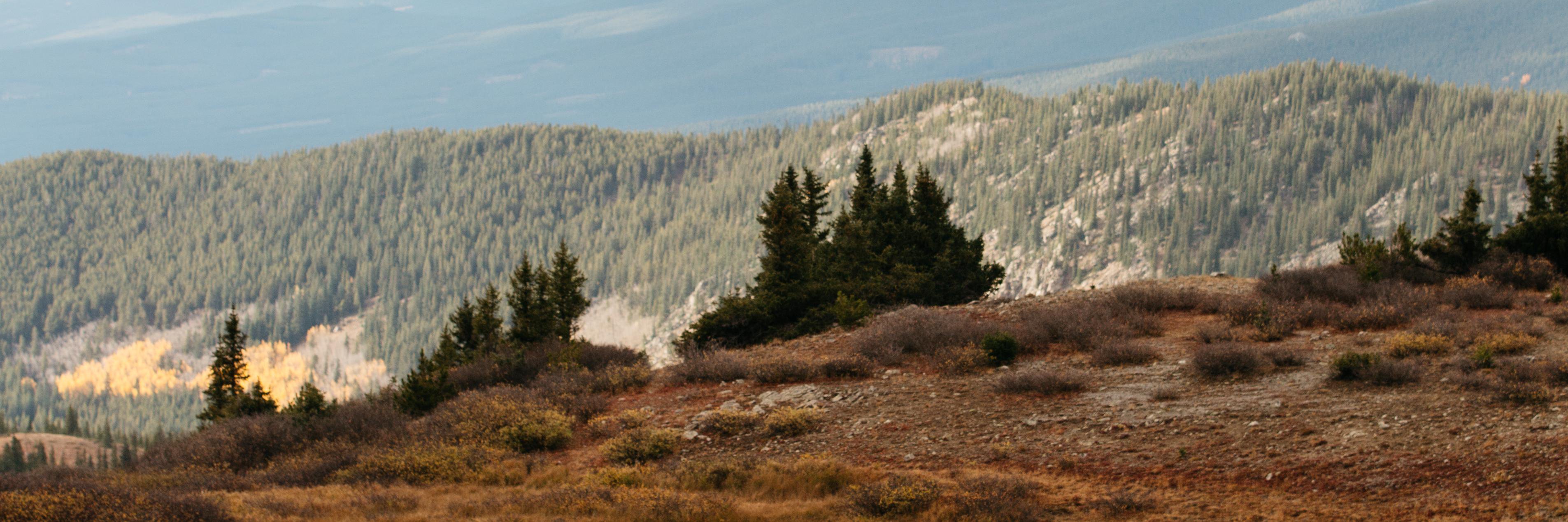 dotina's profile banner image