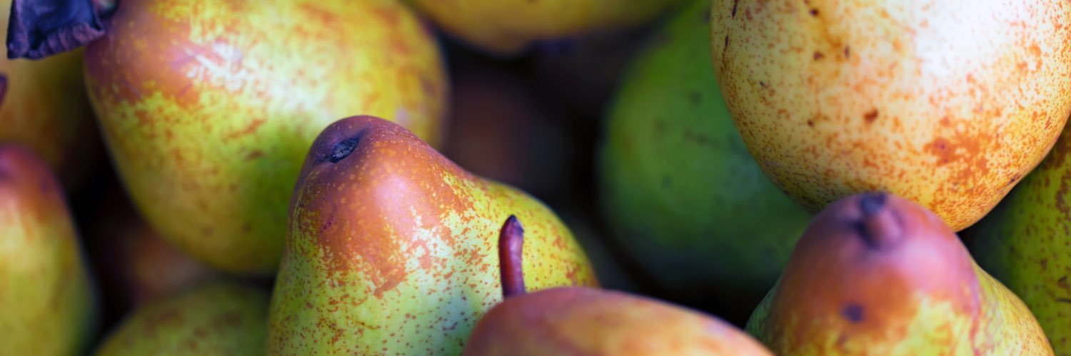 Sharna Bateman banner