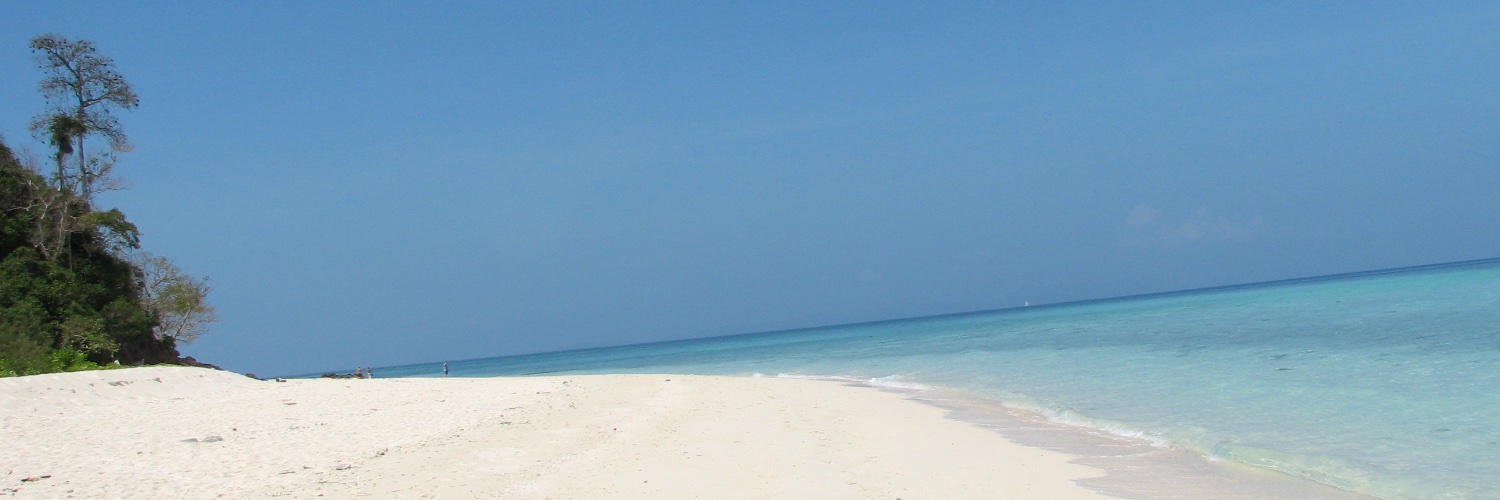 thereisnow's profile banner image