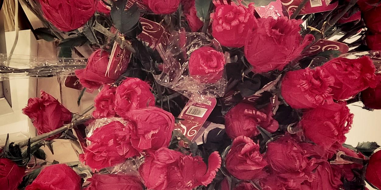 mshoaib66's profile banner image