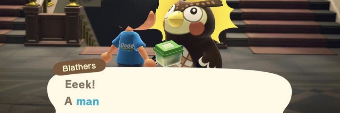 sarrrrendipity's profile banner image