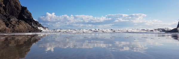 scrinders Profile Banner