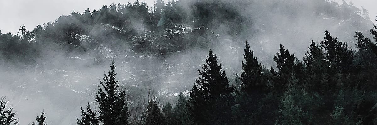 pnw94's profile banner image