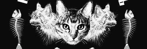 alcocompass's profile banner image