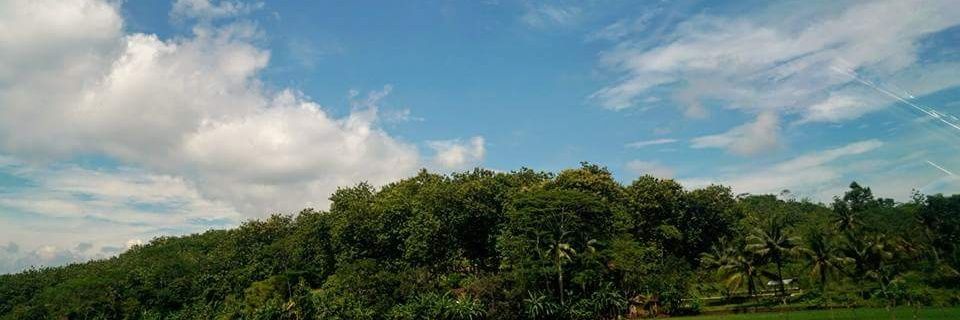ojakrahmat's profile banner image