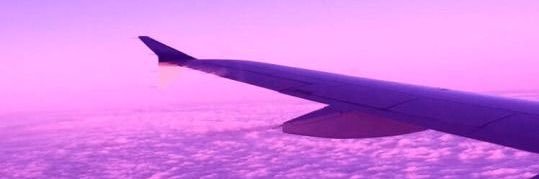 Nickiebasko's profile banner image
