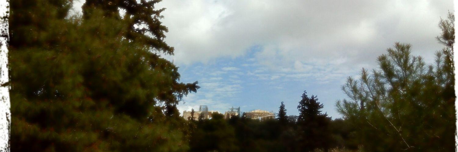 Flora Chatzimichali banner