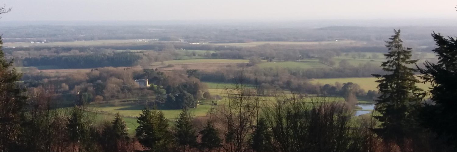 Protect Dunsfold banner