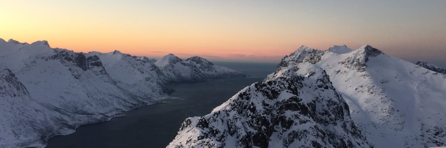 palmorberg's profile banner image