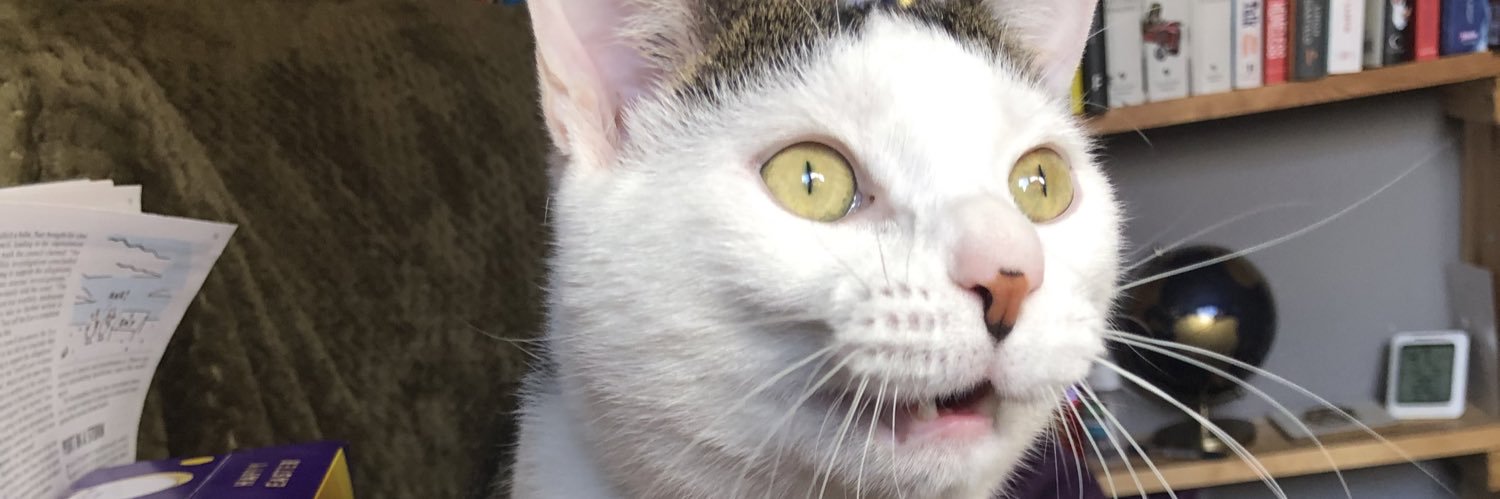 thelyontweets's profile banner image