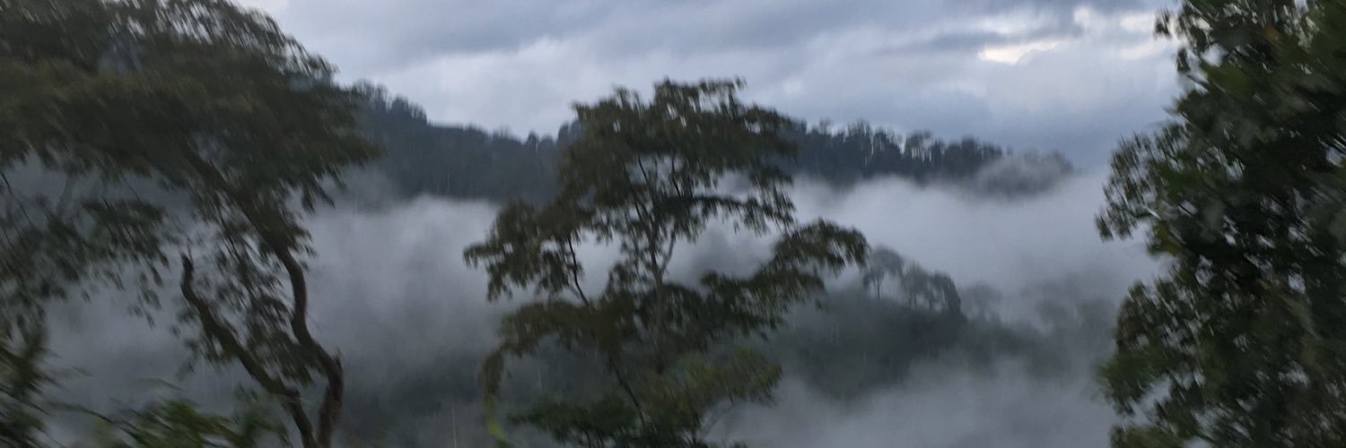 Russymeow's profile banner image