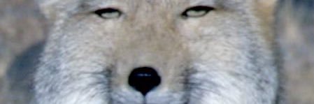 なおっちょ banner