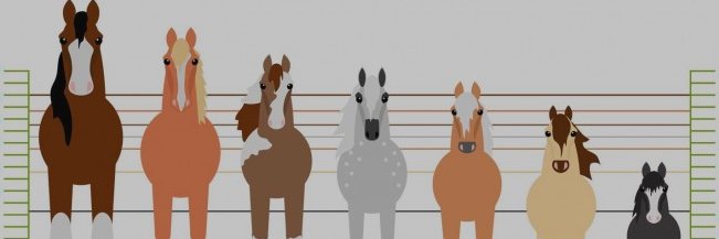 neilmunr's profile banner image