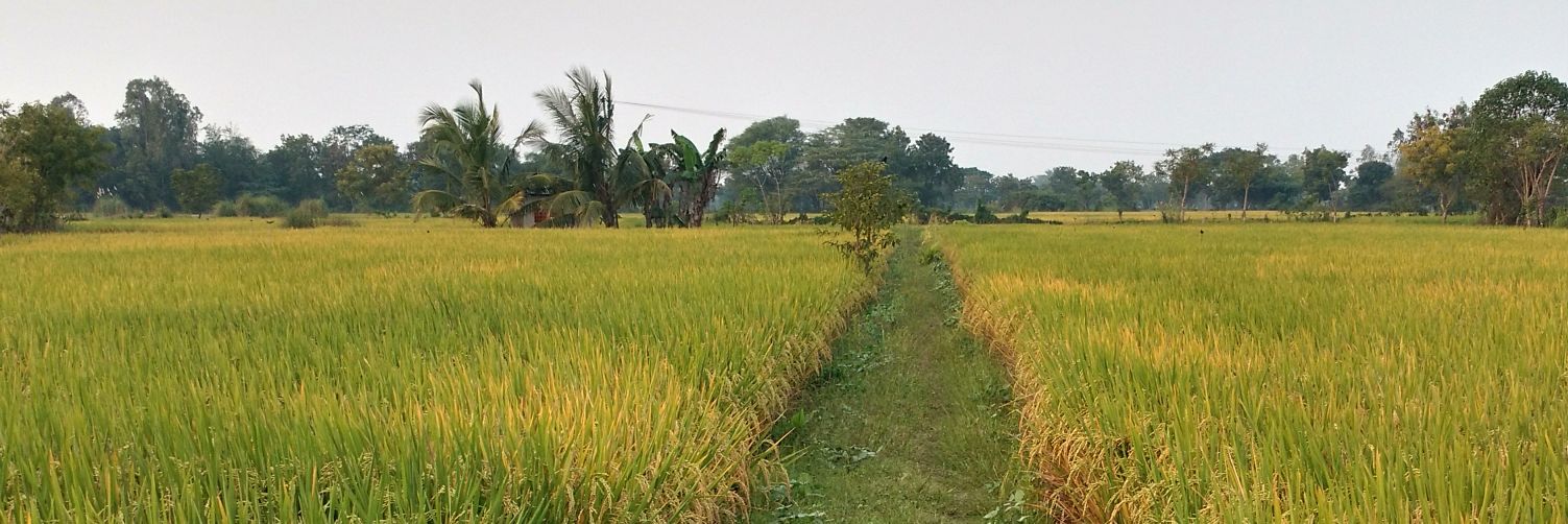 praveentext's profile banner image