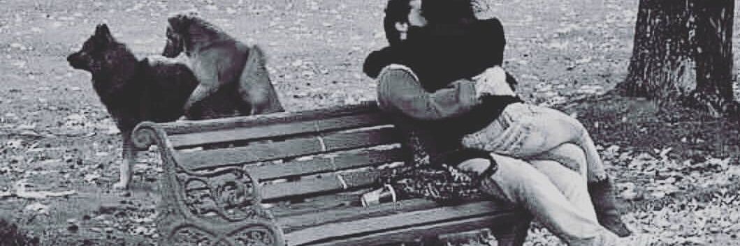 Lalett_'s profile banner image