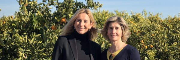 chechemaps Profile Banner