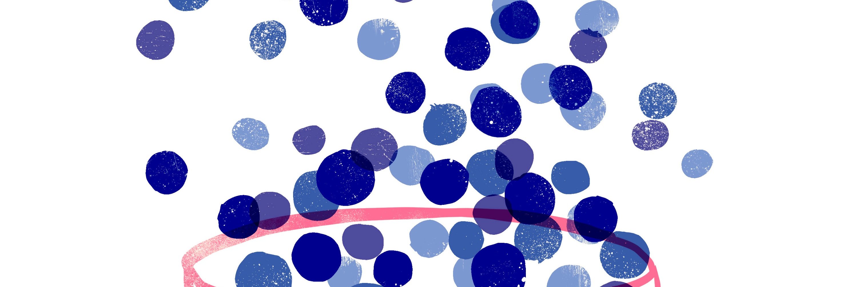 aneklife's profile banner image