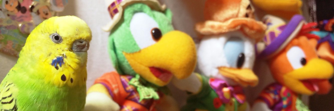 ya_nasa's profile banner image