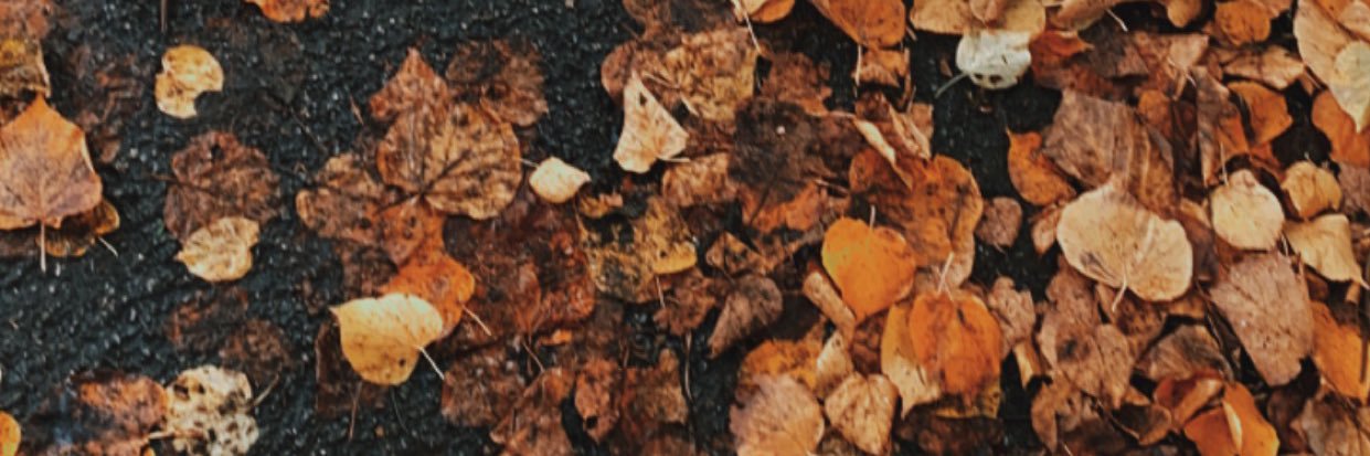 Hateef_alsh's profile banner image