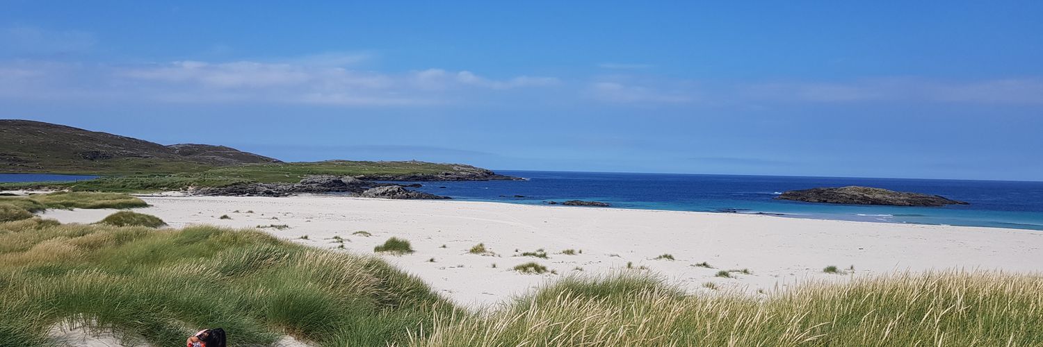 Seamus Shilling banner