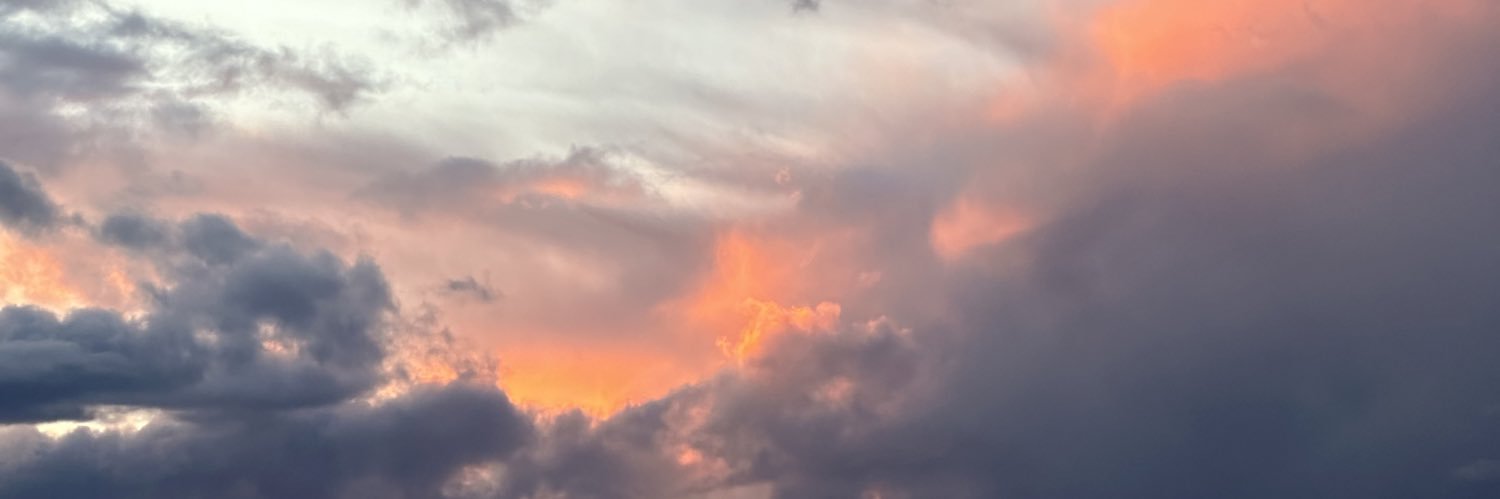 __scvl's profile banner image