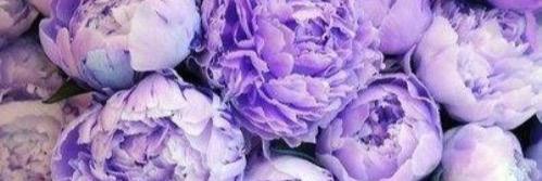 briannalee__'s profile banner image